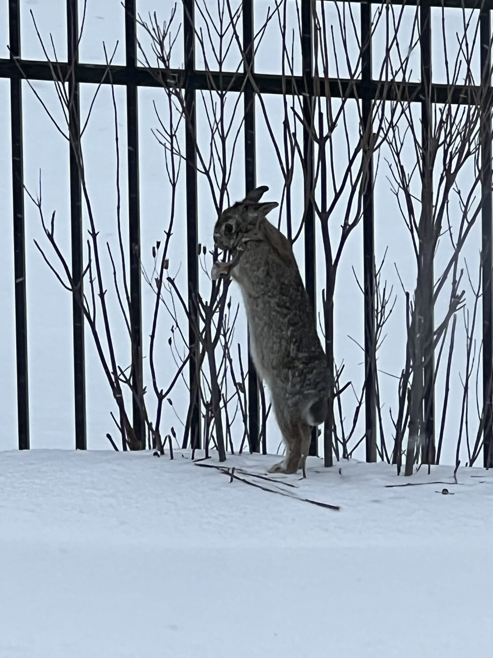 Landscape Deconstruction