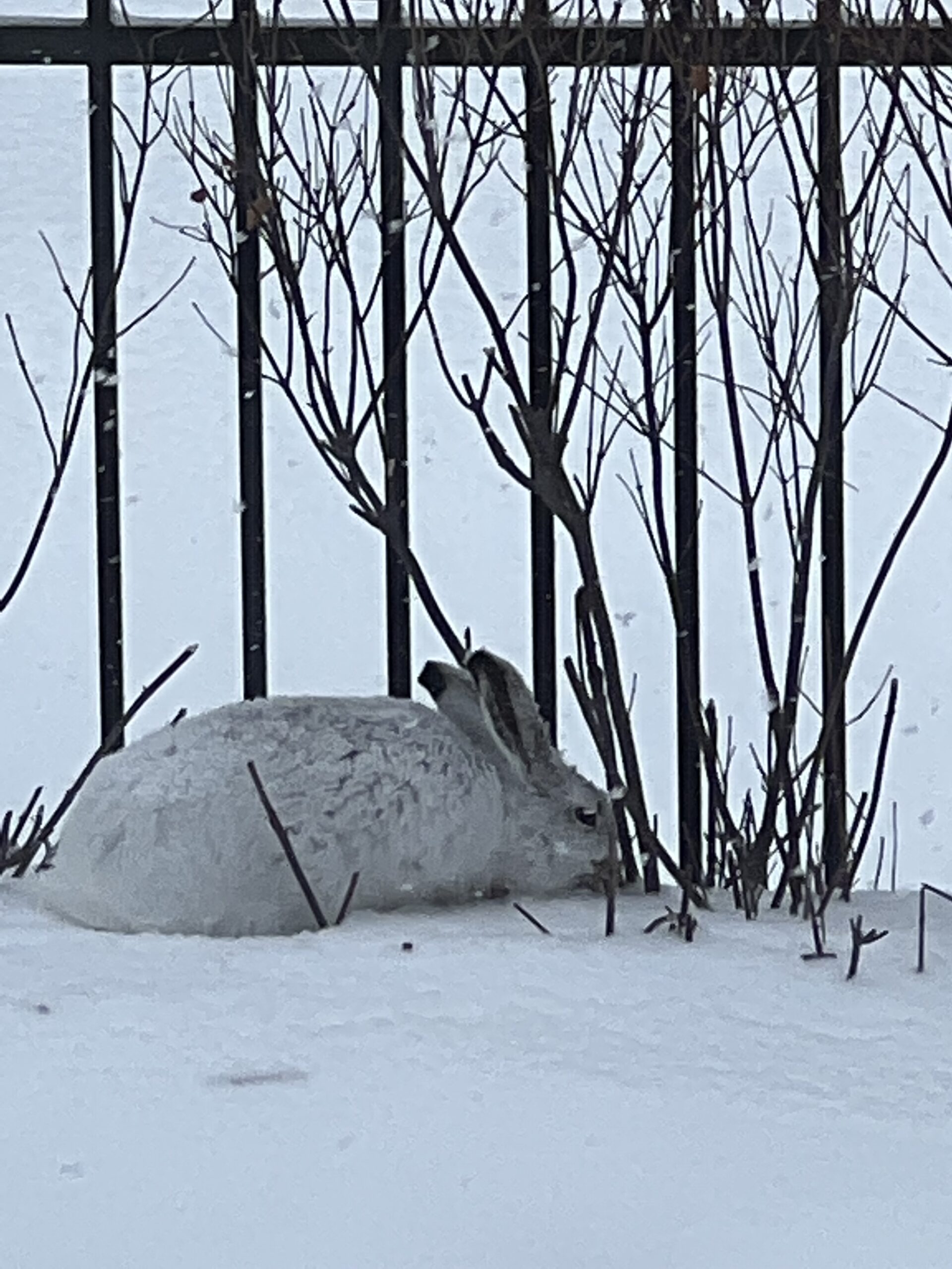 Now We’re in Trouble