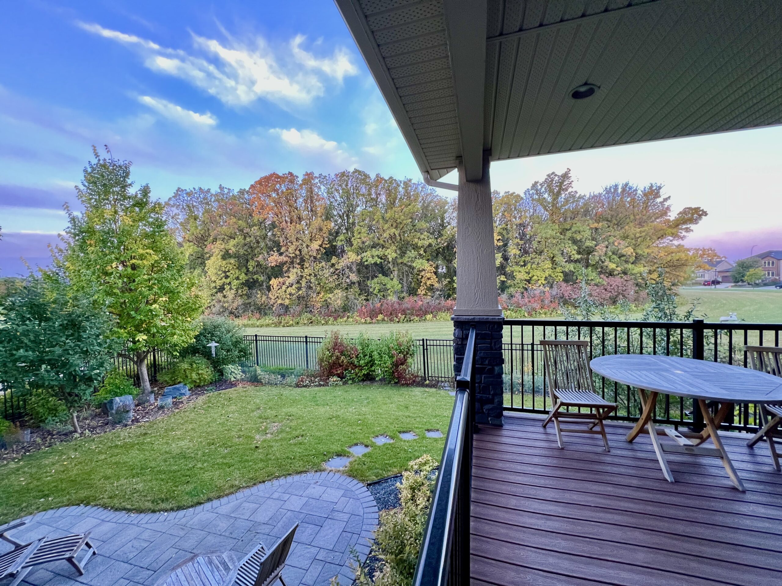 Quirky Backyard View