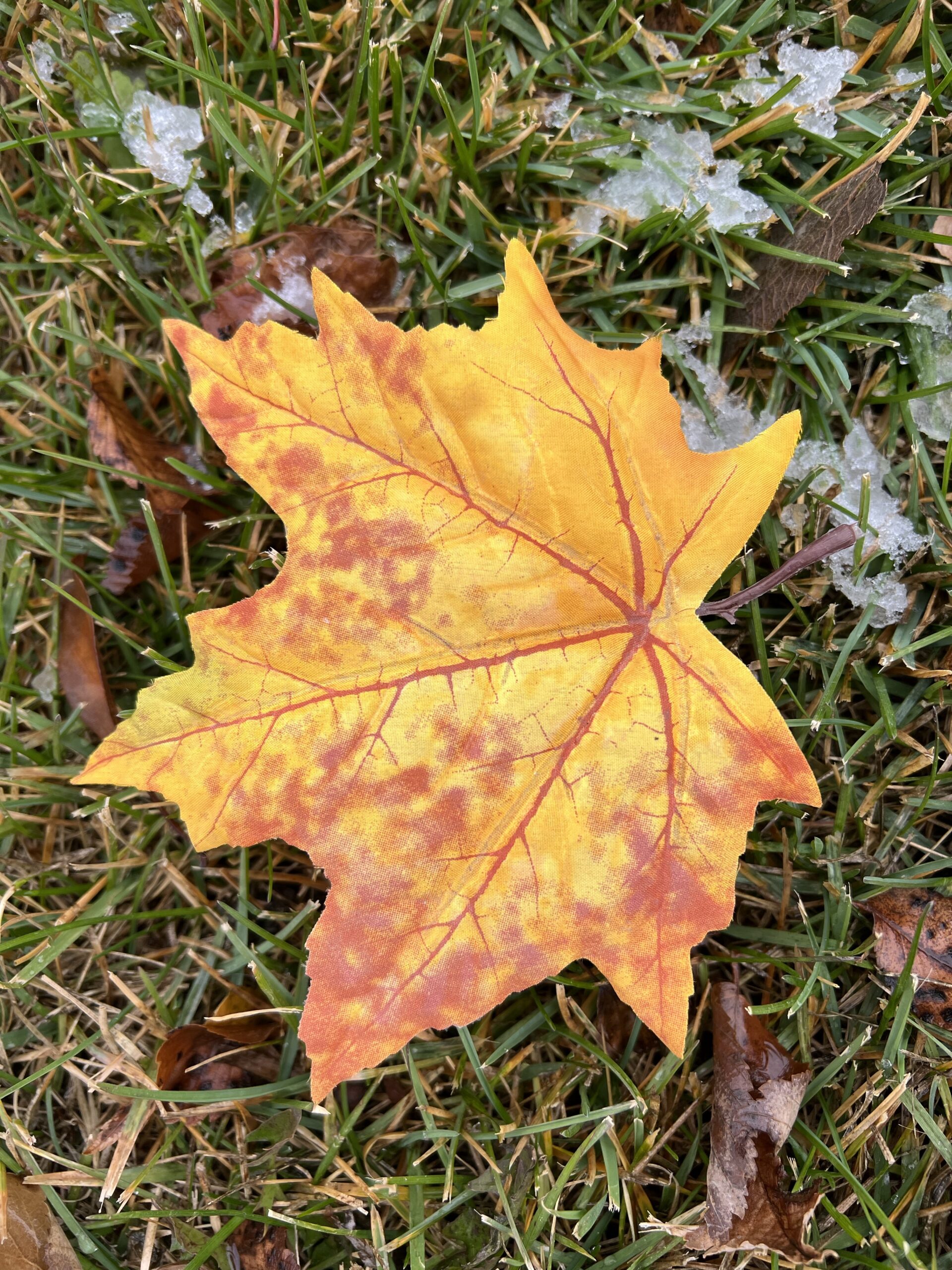 Green grass, snow and bright leaves