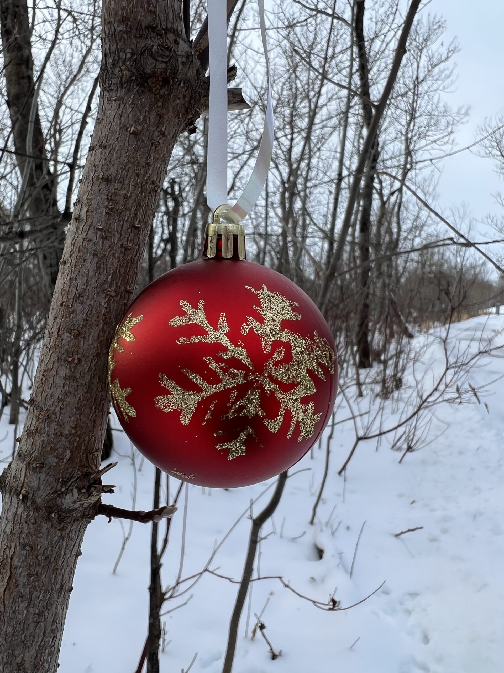 Decorating the Outdoors