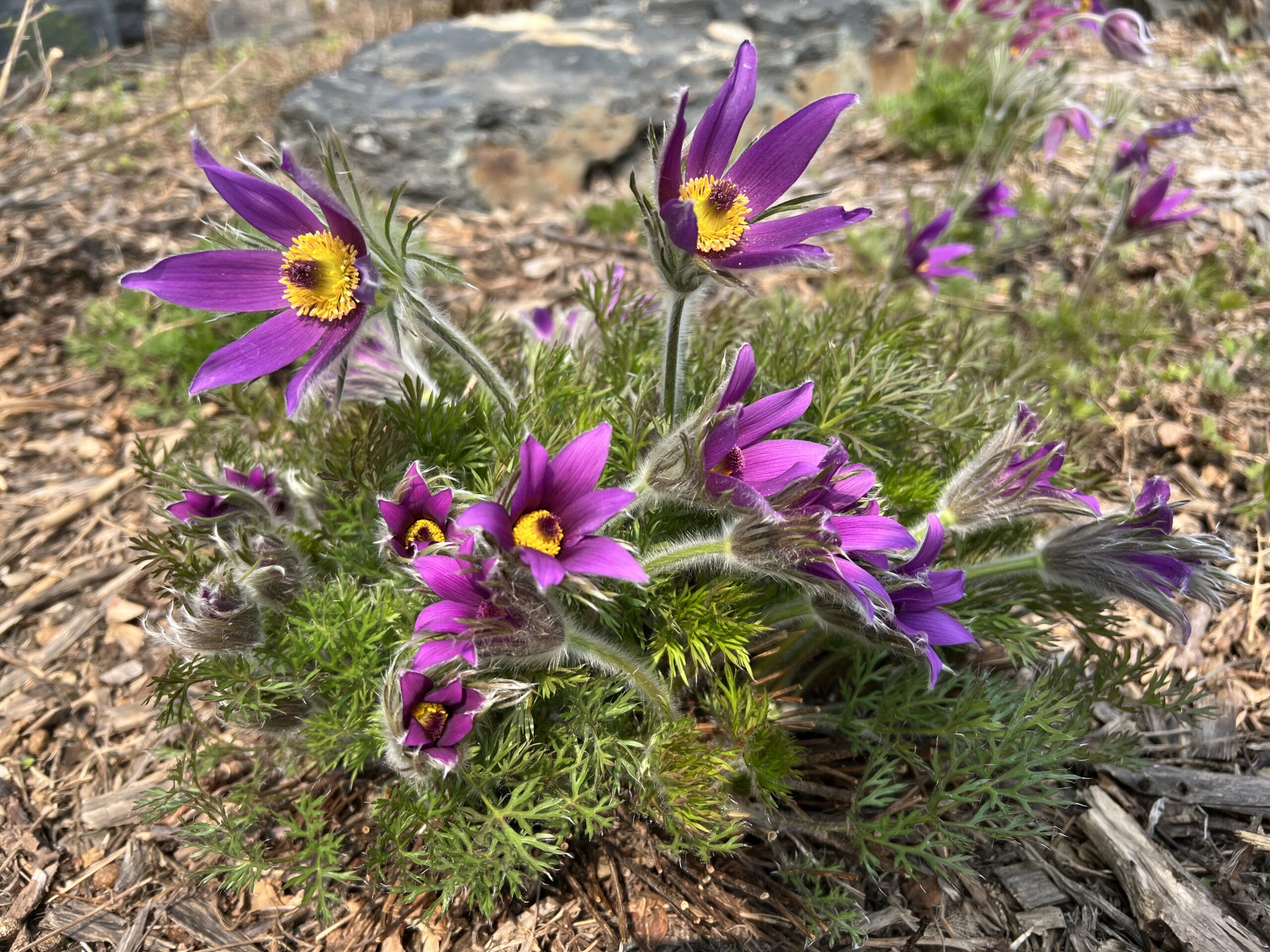 Now we’re getting going