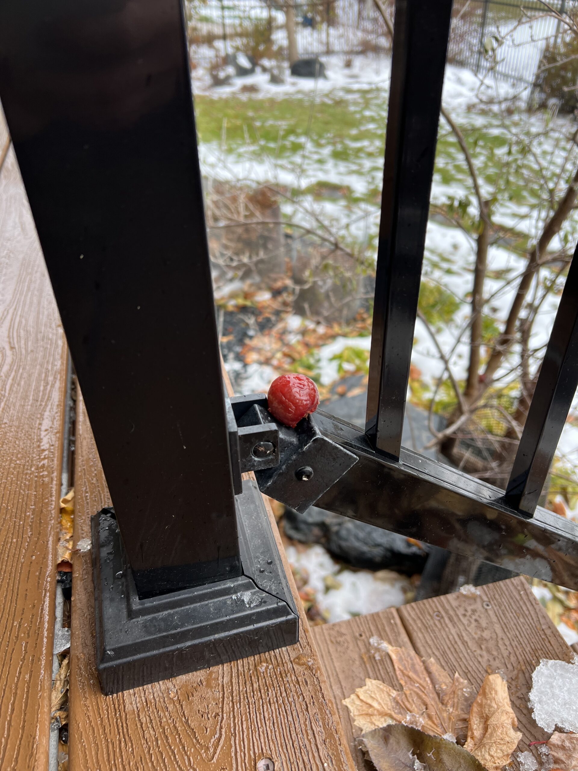 Hidden In Plain Sight