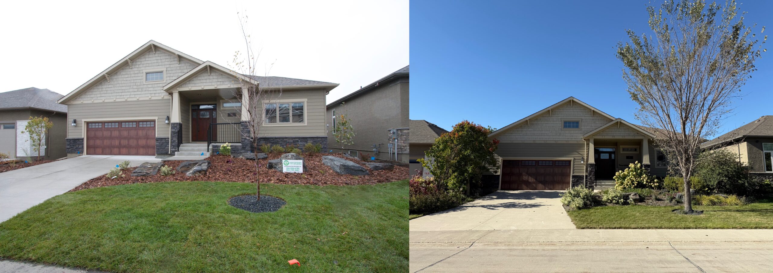 Ten Years of lawn mowing